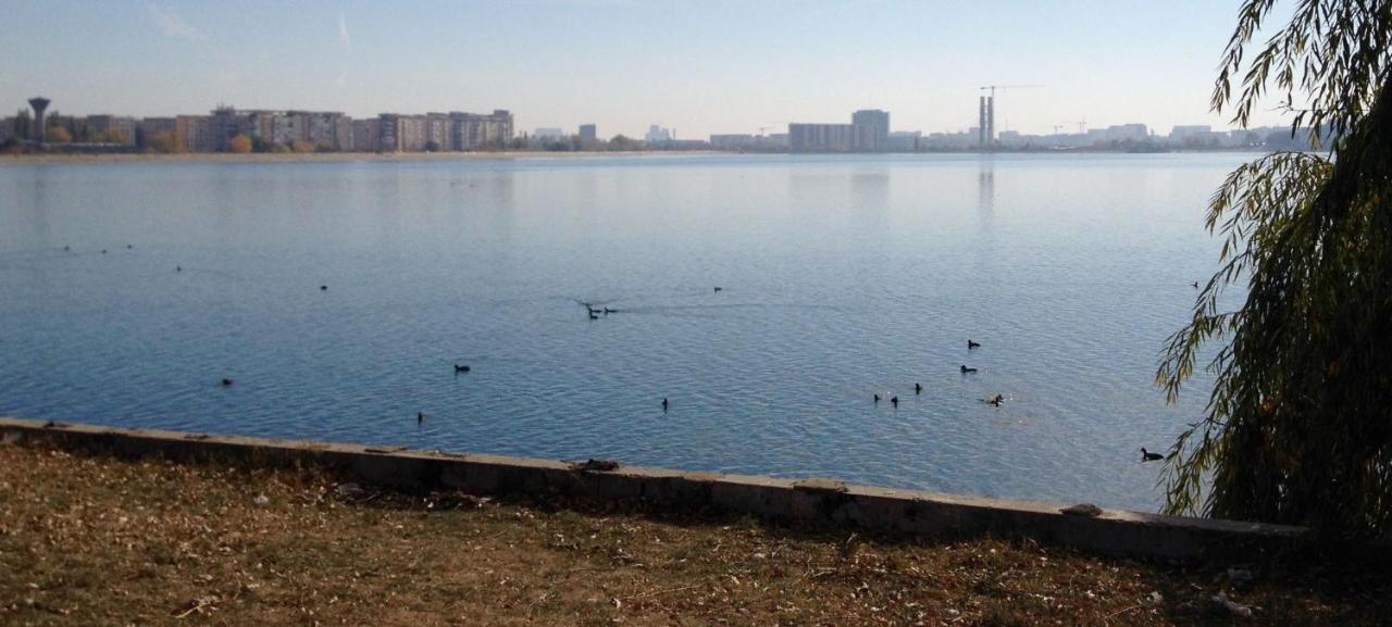 Fancy Penthouse Studio With Lakeview W10 بوخارست المظهر الخارجي الصورة